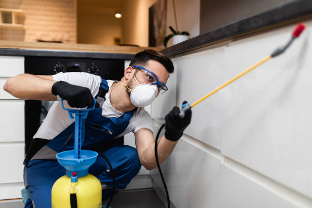 Best Local Pest Control Services  in Garden Plain, KS