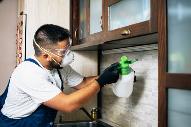 Best Insect Control  in Garden Plain, KS