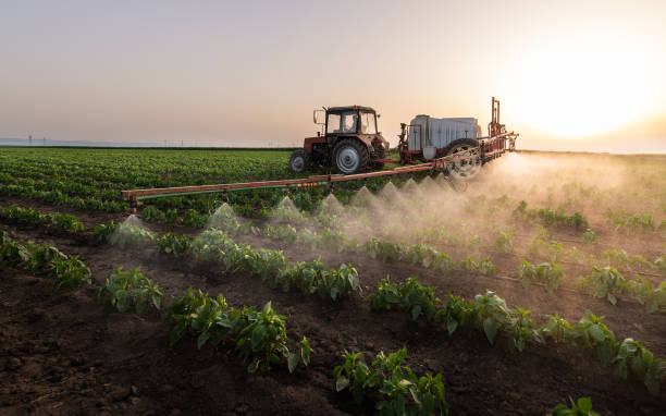 Best Termite Control Services  in Garden Plain, KS