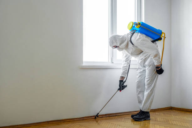 Best Mosquito Control Services  in Garden Plain, KS