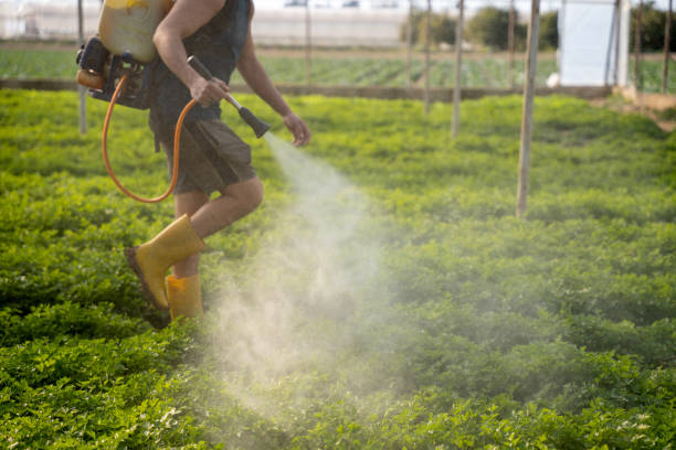 Best Pest Control Near Me  in Garden Plain, KS