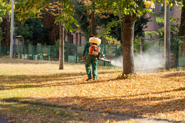 Best Affordable Pest Control Services  in Garden Plain, KS