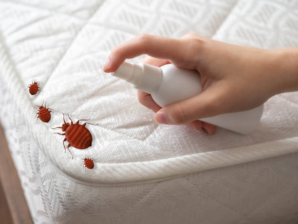 Best Pest Inspection Near Me  in Garden Plain, KS