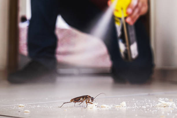 Pest Control Cost in Garden Plain, KS