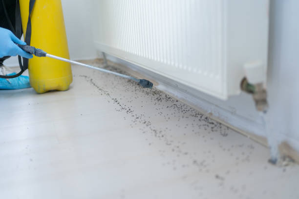 Best Residential Pest Control  in Garden Plain, KS